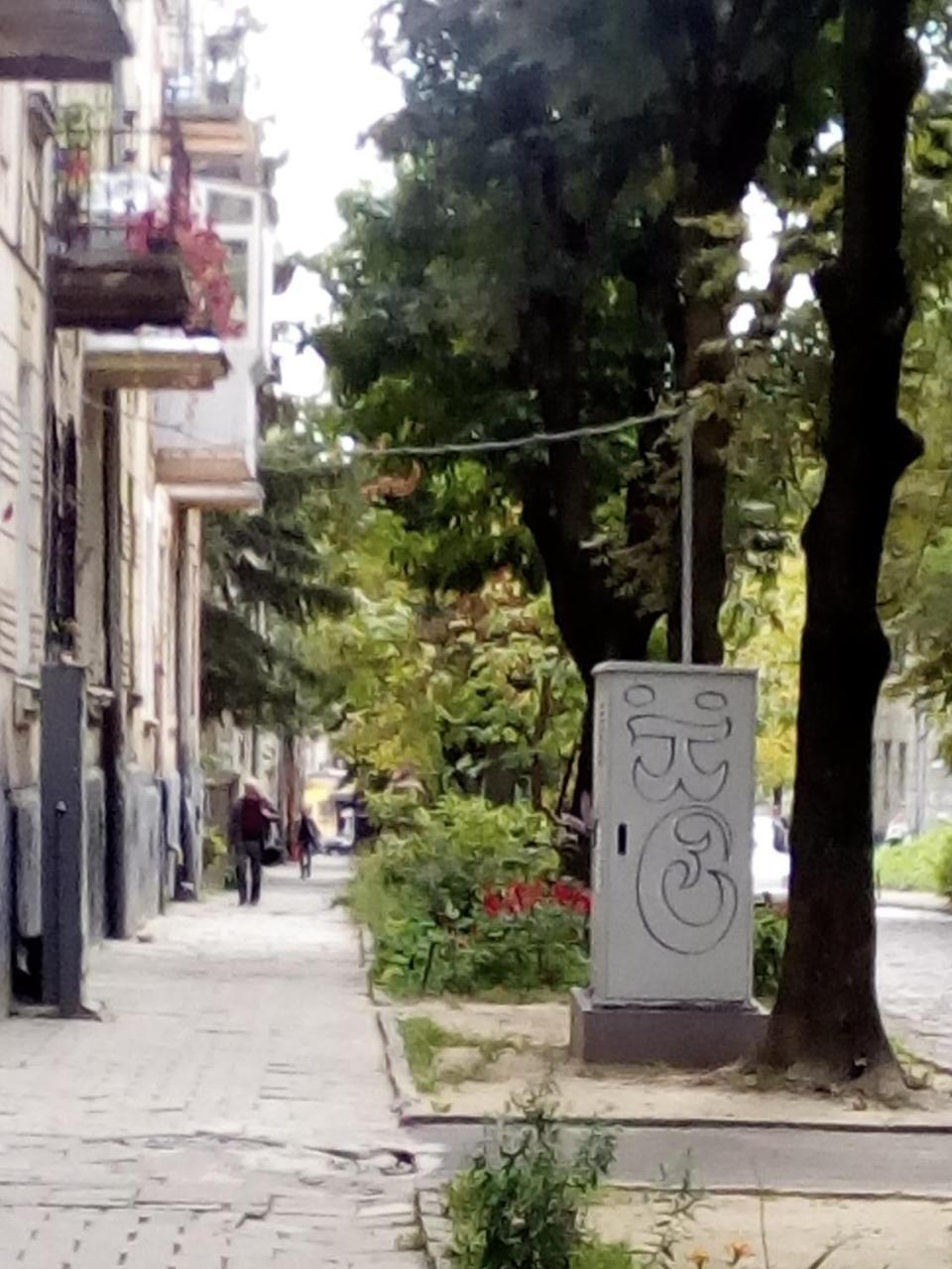 1 Ком Апартаменты На Олены Степанивны ,Парковка Lviv Dış mekan fotoğraf